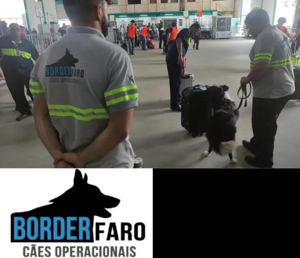 Serviços Border Faro no porto