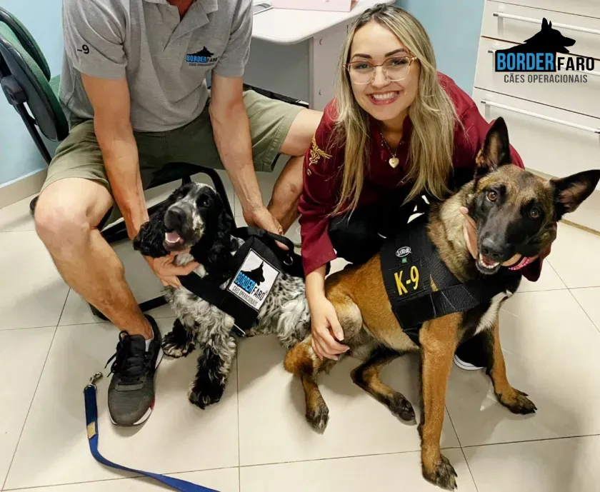 Cães-farejadores-Border-Faro e Hosp- Veterinario é o bicho